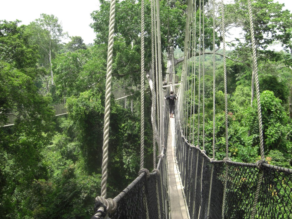 Kakum National Park
