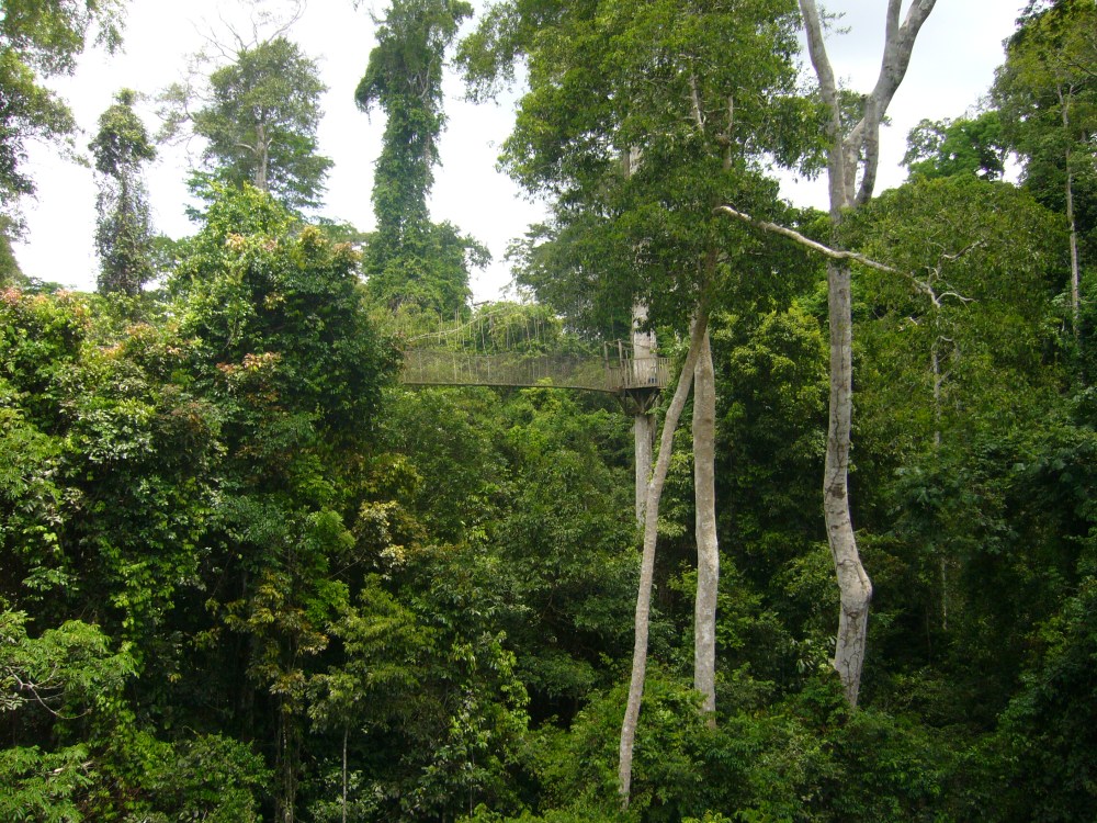 Kakum National Park