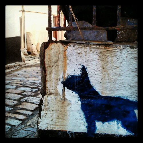 IMG_20140104_125541.jpg image