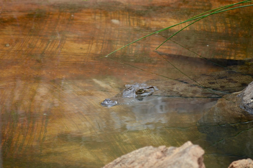 20140829_104544400_iOS