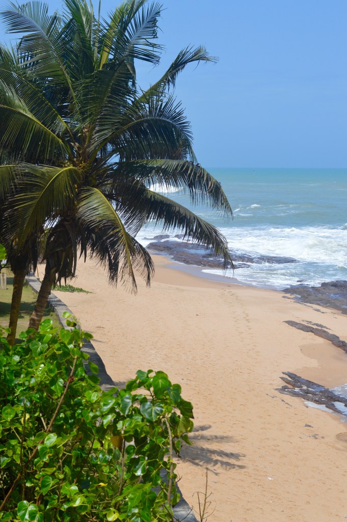 20140829_132259400_iOS