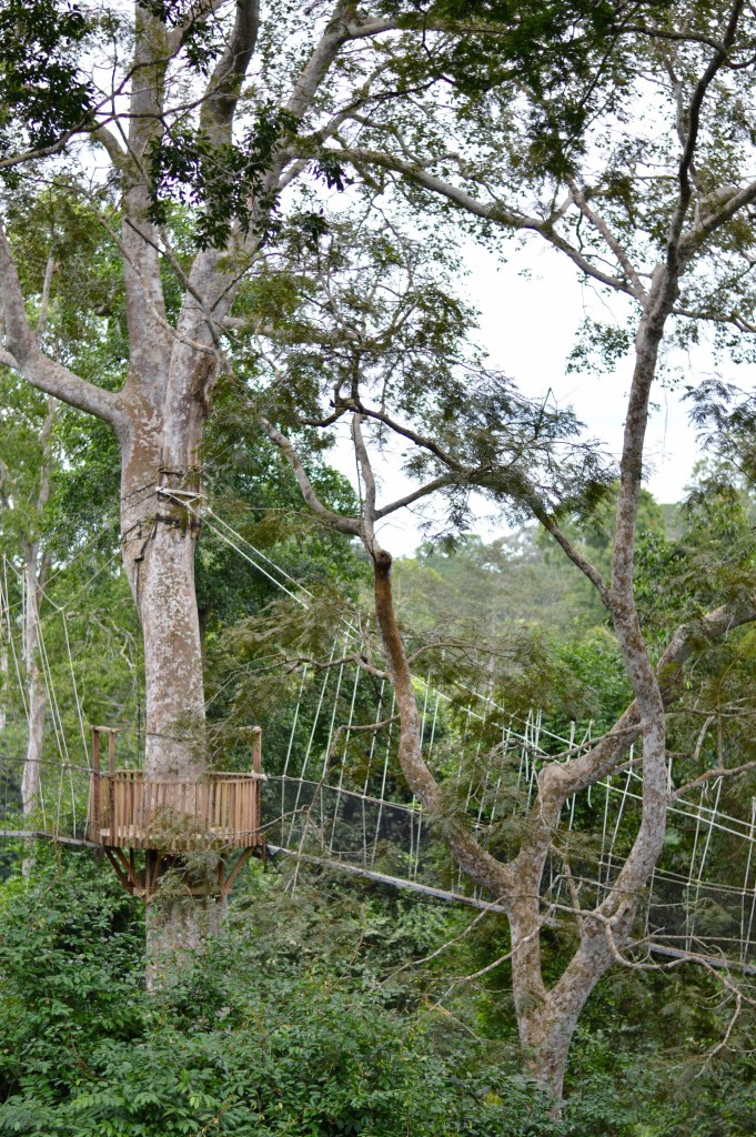 20140830_132342100_iOS