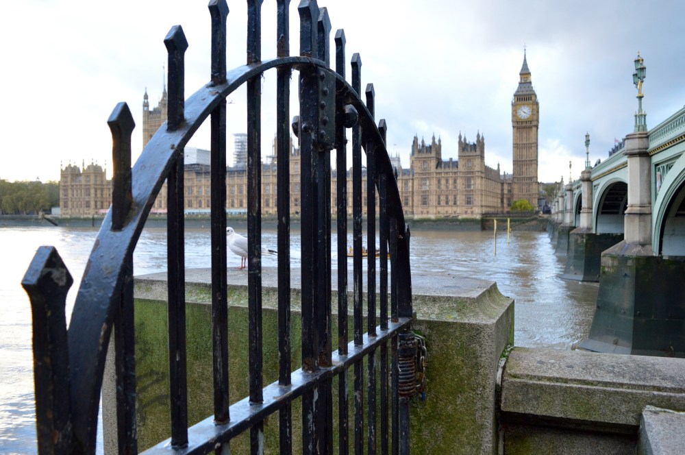 20141107_165654600_iOS