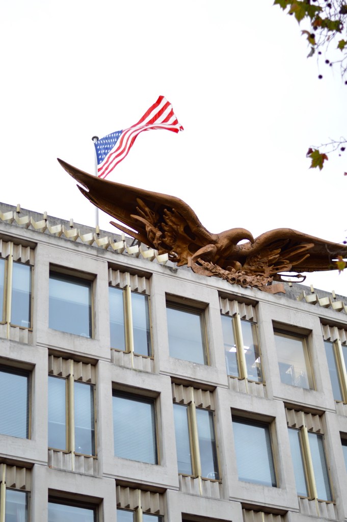 20141107_173048300_iOS